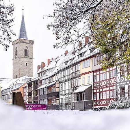 -Apartment Am Luisenpark-Perfekte Lage Im Gruenen Fuer Ihren Aufenthalt Erfurt Dış mekan fotoğraf