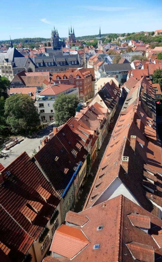 -Apartment Am Luisenpark-Perfekte Lage Im Gruenen Fuer Ihren Aufenthalt Erfurt Dış mekan fotoğraf