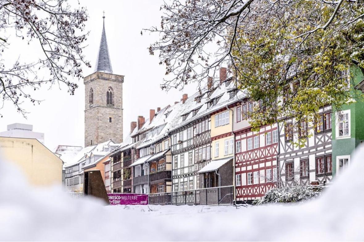 -Apartment Am Luisenpark-Perfekte Lage Im Gruenen Fuer Ihren Aufenthalt Erfurt Dış mekan fotoğraf